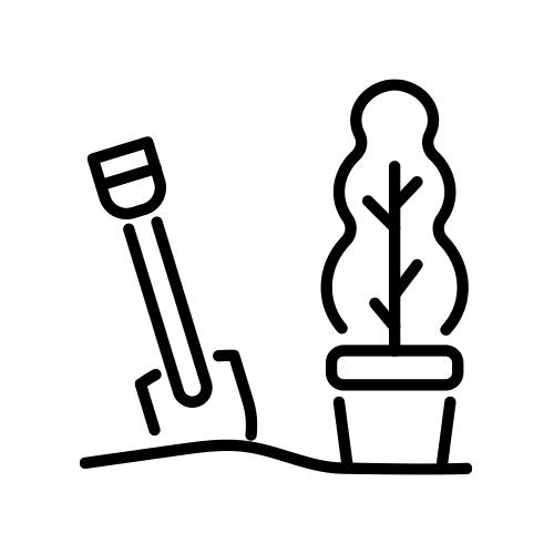 Beautiful Lawns and Outdoor Spaces