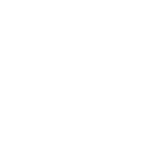 Yard Restoration and Debris Removal